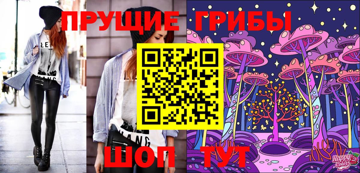 Губкинский  Псилоцибиновые грибы ЛСД  цены   Вход с VPN  Псилоцибиновые грибы Psilocybine cubensis 